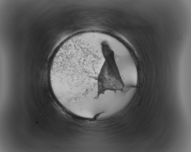 X0000084531460200703231642
