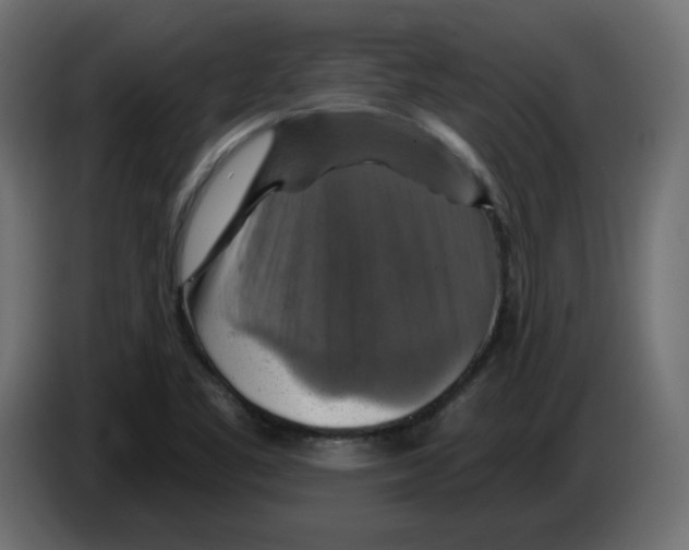 X0000084531461200703231642