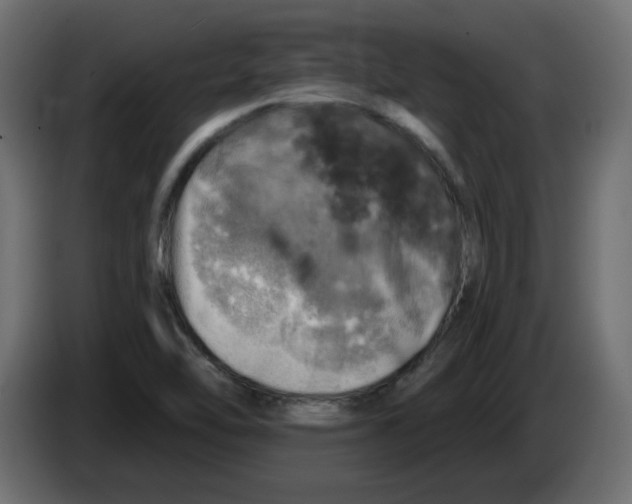X0000084531462200703231642