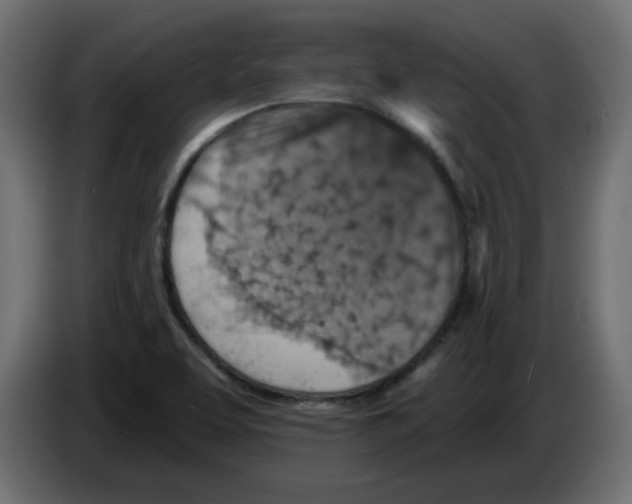 X0000084531463200703231642