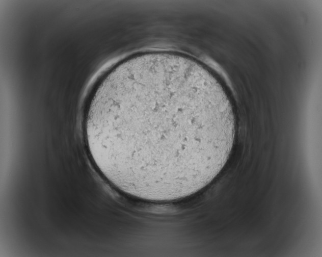 X0000084531464200703231642