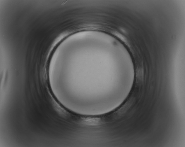 X0000084531466200703231642