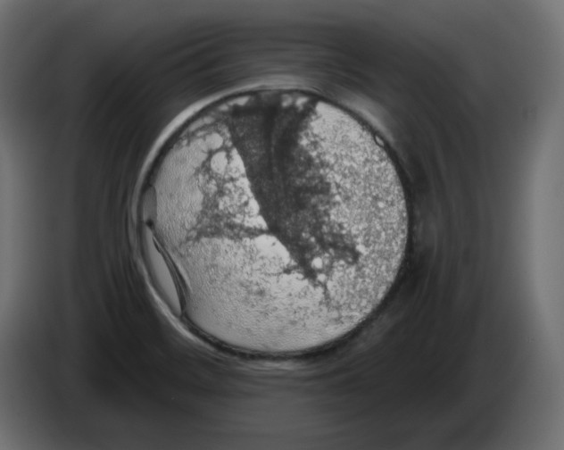 X0000084531468200703231642