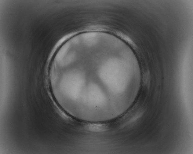 X0000084531470200703231642