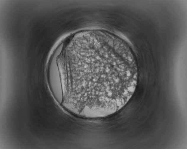 X0000084531472200703231642