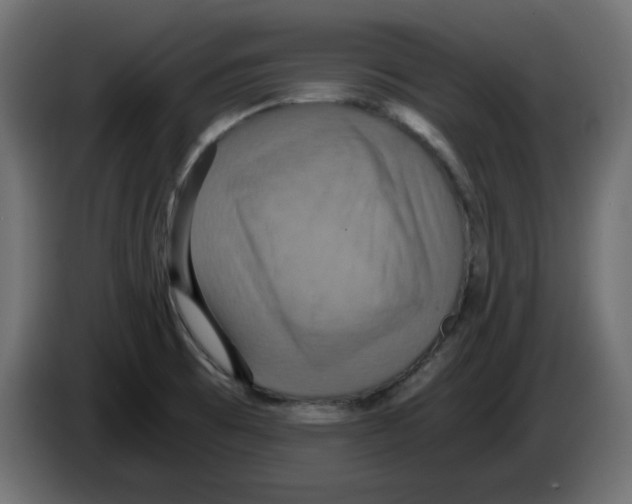 X0000084531473200703231642