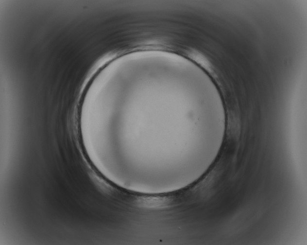 X0000084531474200703231642