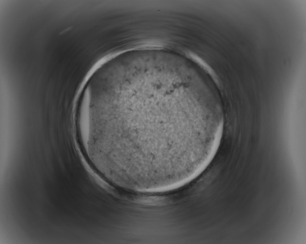 X0000084531475200703231642