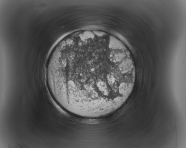 X0000084531476200703231642