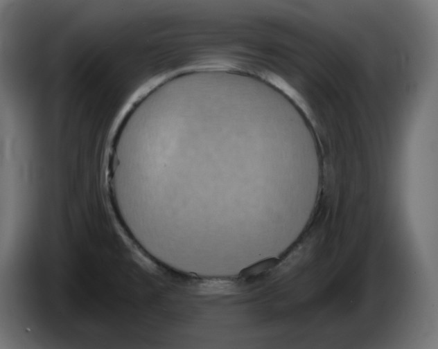 X0000084531477200703231642
