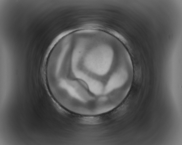 X0000084531478200703231642