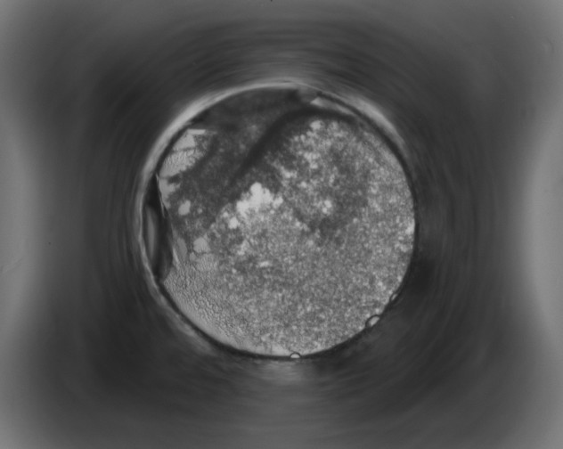 X0000084531480200703231642