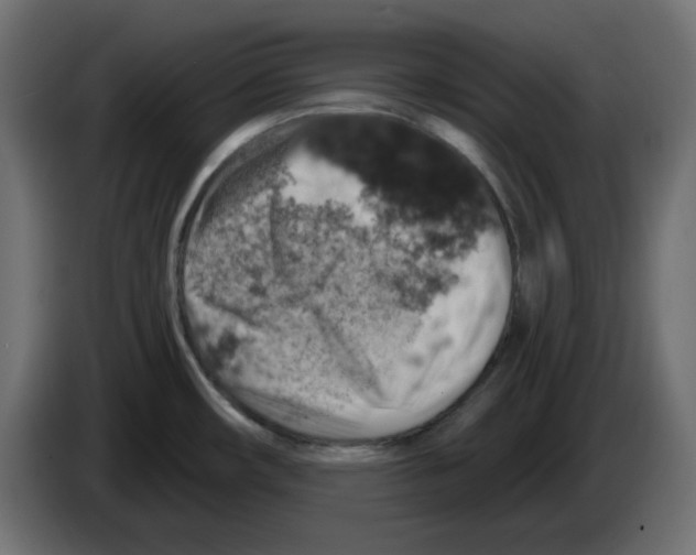 X0000084531482200703231641