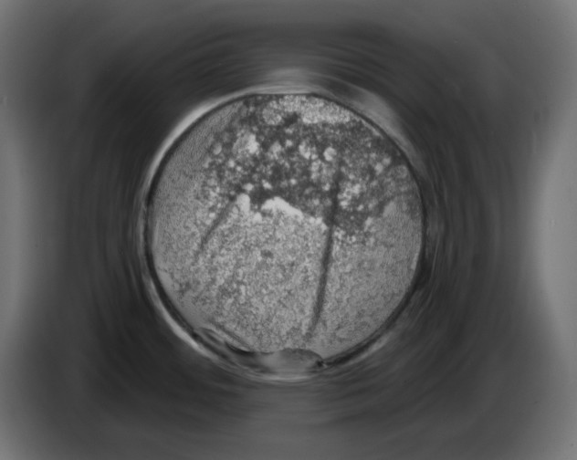 X0000084531484200703231641
