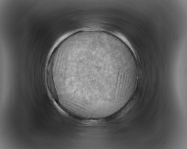 X0000084531485200703231641