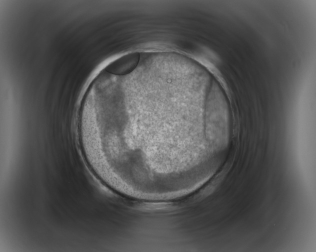 X0000084531486200703231641