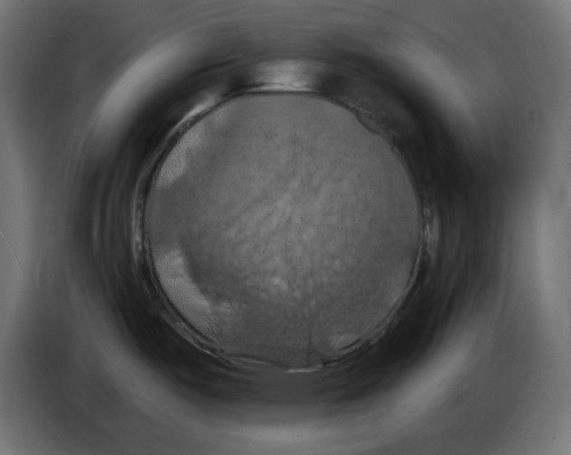 X0000084531487200703231641