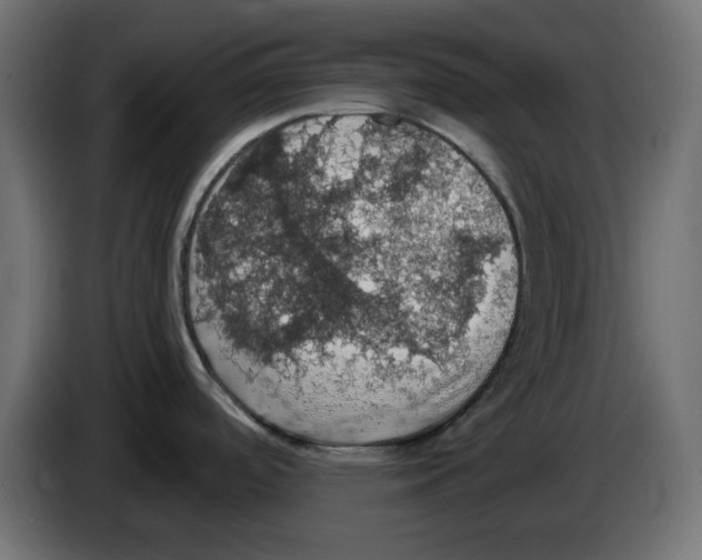 X0000084531488200703231641