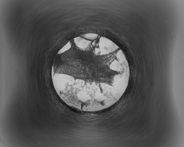 X0000084531489200703231641