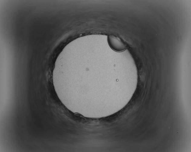 X0000084531495200703231641