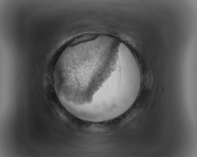 X0000084531496200703231641