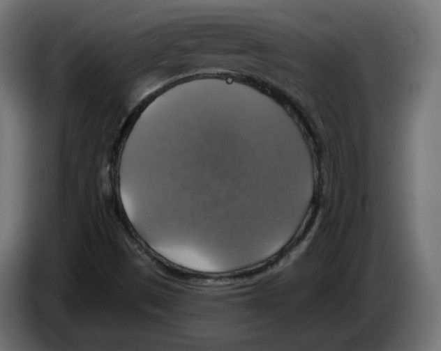 X0000084531497200703231641