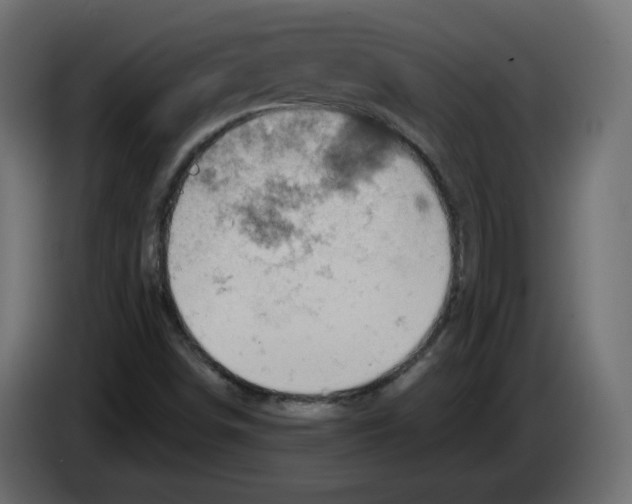 X0000084531498200703231641