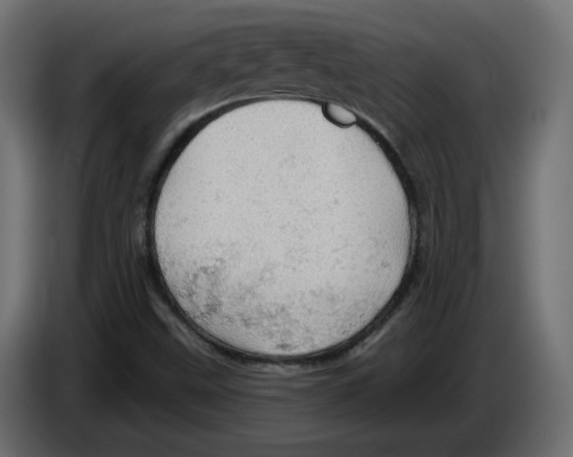 X0000084531499200703231641