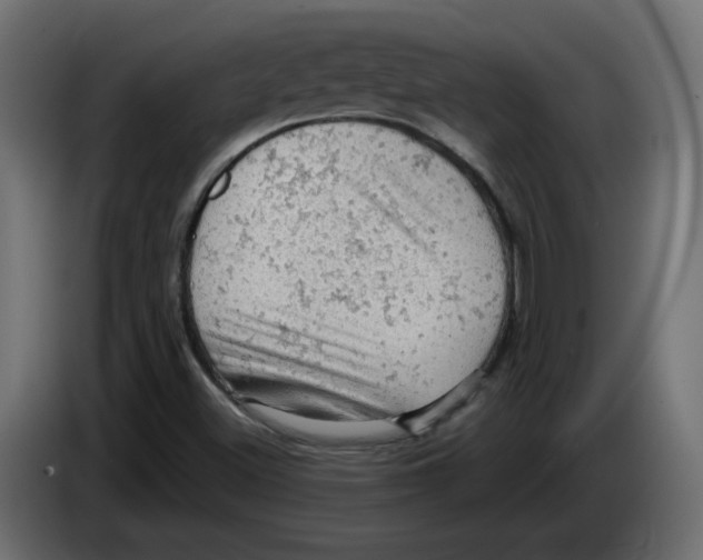 X0000084531500200703231641
