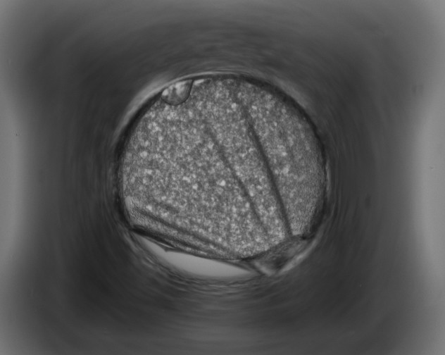 X0000084531501200703231641