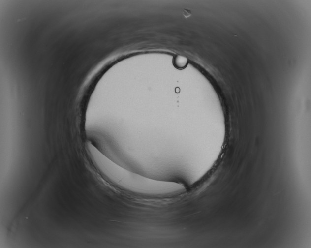 X0000084531502200703231641