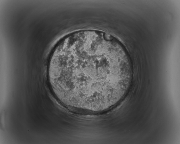 X0000084531503200703231641