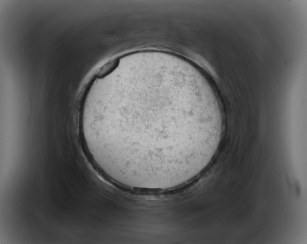 X0000084531504200703231641
