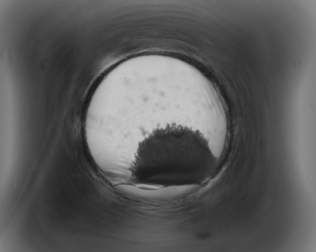X0000084531505200703231641