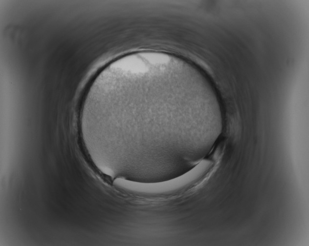 X0000084531506200703231641