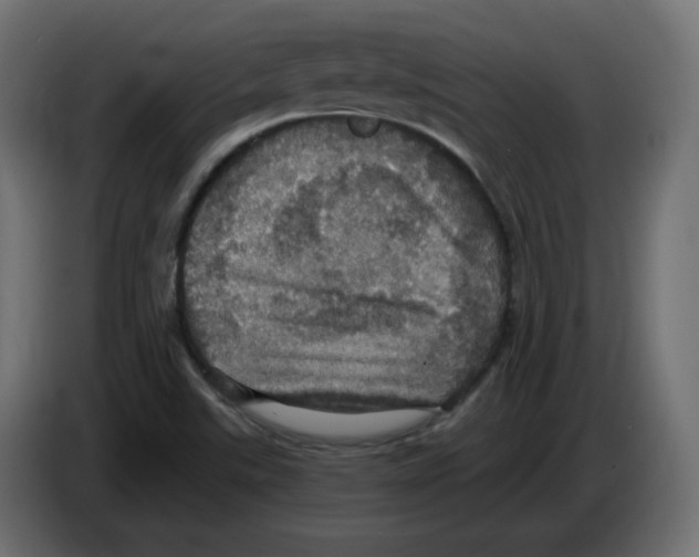X0000084531507200703231641