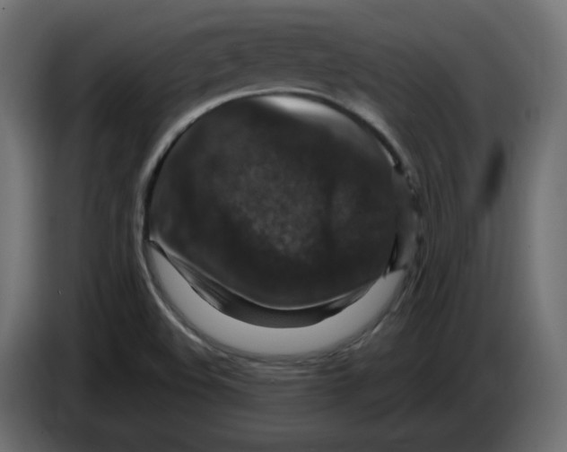 X0000084531508200703231641