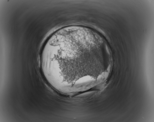 X0000084531509200703231641
