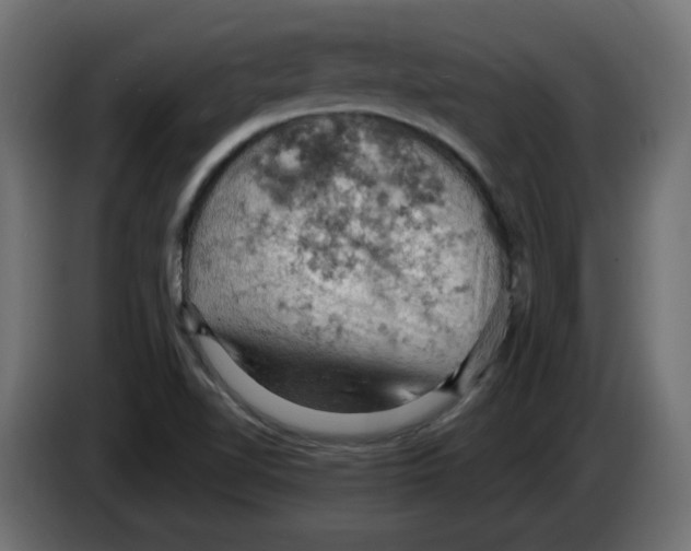 X0000084531510200703231641