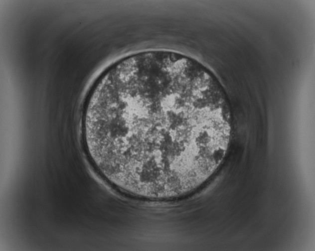X0000084531511200703231641