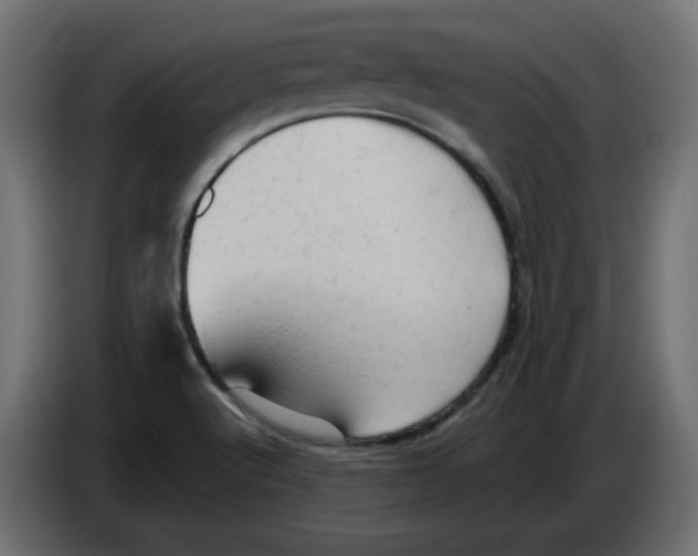 X0000084531512200703231641