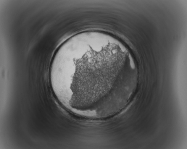X0000084531513200703231641