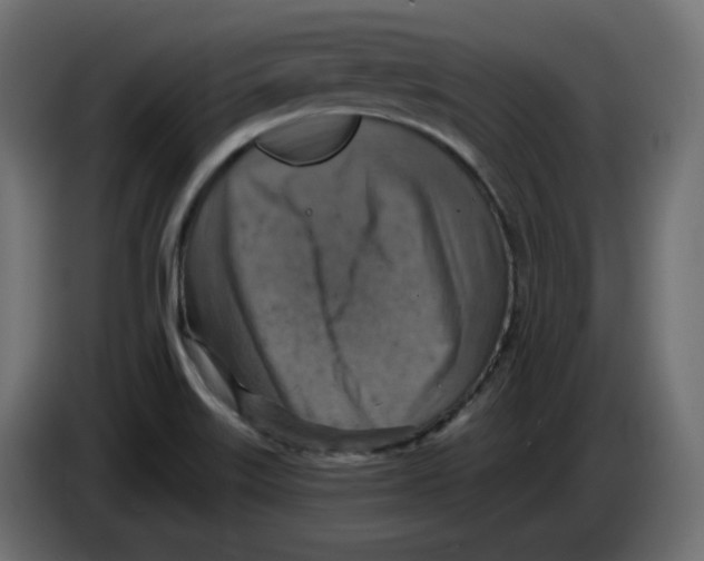 X0000084531515200703231641