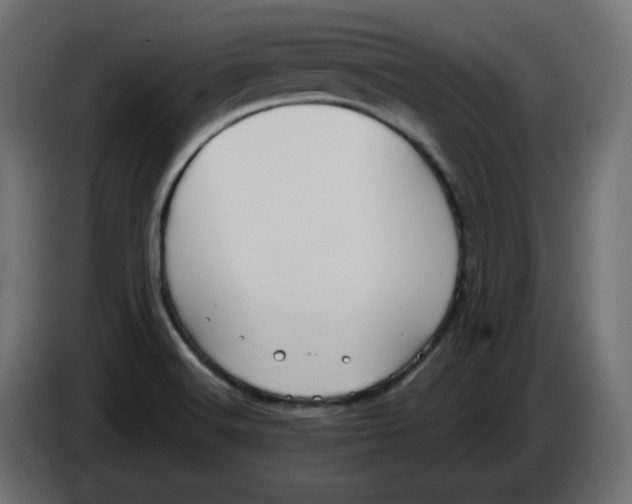 X0000084531516200703231641