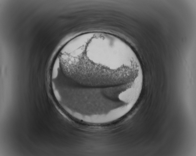 X0000084531517200703231641