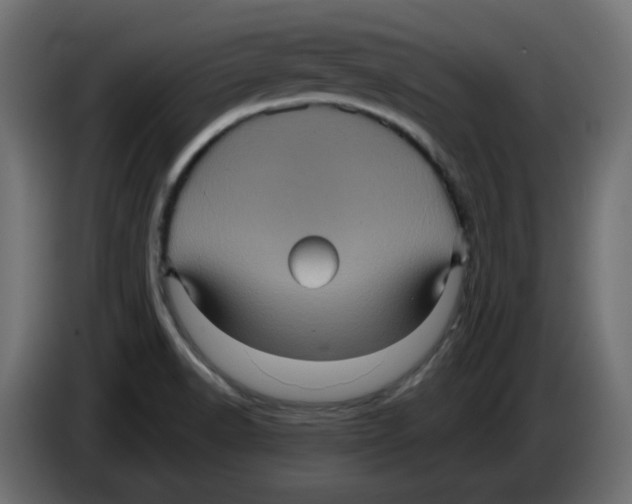 X0000084531518200703231641