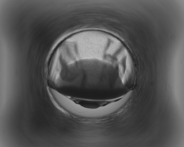 X0000084531519200703231641