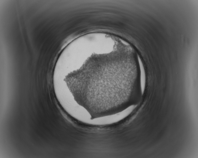 X0000084531521200703231641