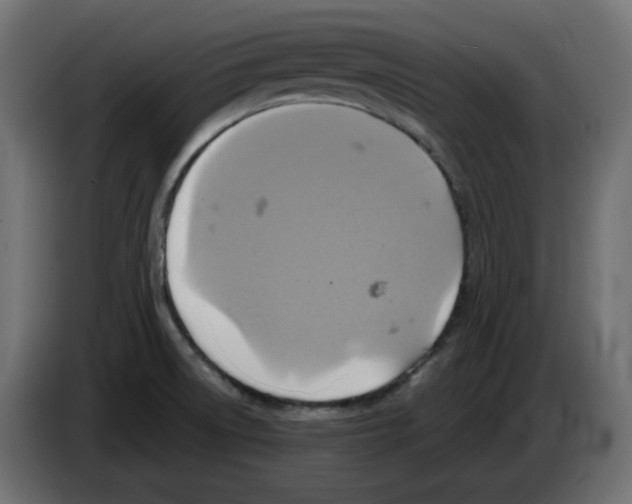 X0000084531522200703231641