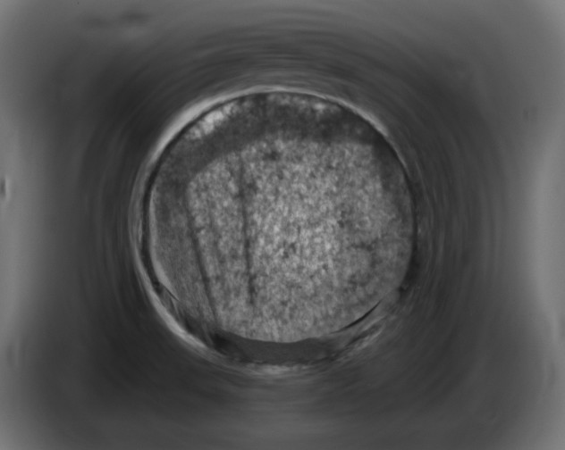 X0000084531523200703231641